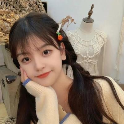 史莱克圣诞特辑：驴子的圣诞歌舞秀